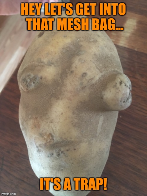 Found this "It's A Trap" potato today while I was cooking. Just wanted to share LOL  | HEY LET'S GET INTO THAT MESH BAG... IT'S A TRAP! | image tagged in it's a trap,lol,lynch1979,memes | made w/ Imgflip meme maker