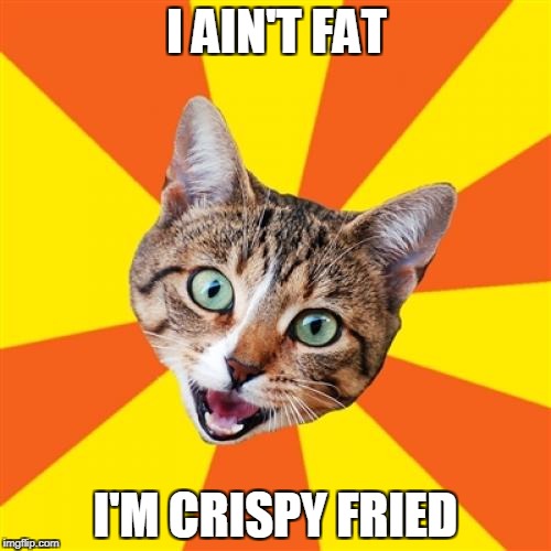 Bad Advice Cat | I AIN'T FAT; I'M CRISPY FRIED | image tagged in memes,bad advice cat | made w/ Imgflip meme maker