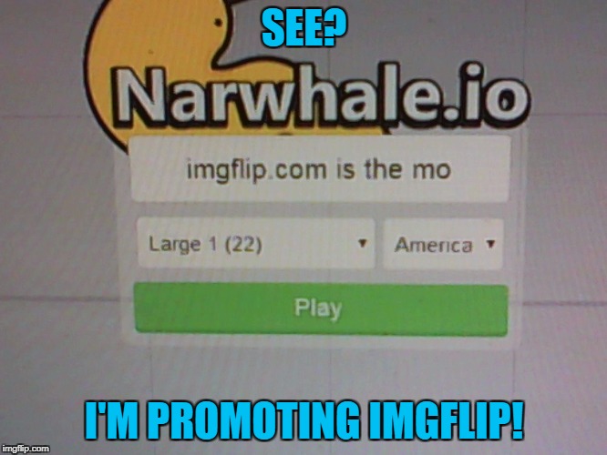 I'm proud of myself | SEE? I'M PROMOTING IMGFLIP! | image tagged in narwhaleio,memes | made w/ Imgflip meme maker