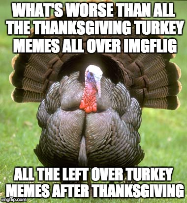 Leftovers | WHAT'S WORSE THAN ALL THE THANKSGIVING TURKEY MEMES ALL OVER IMGFLIG; ALL THE LEFT OVER TURKEY MEMES AFTER THANKSGIVING | image tagged in memes,turkey | made w/ Imgflip meme maker