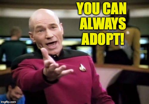 Picard Wtf Meme | YOU CAN ALWAYS ADOPT! | image tagged in memes,picard wtf | made w/ Imgflip meme maker