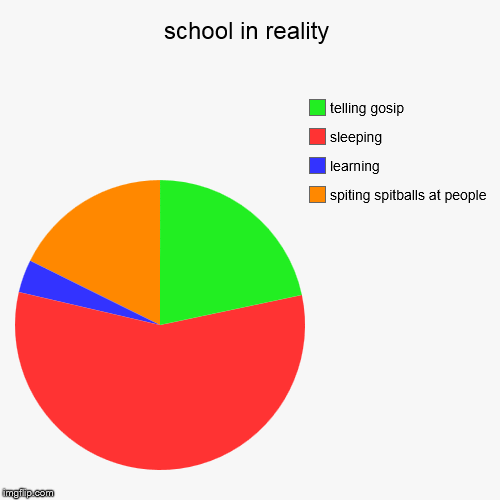 image tagged in funny,pie charts | made w/ Imgflip chart maker