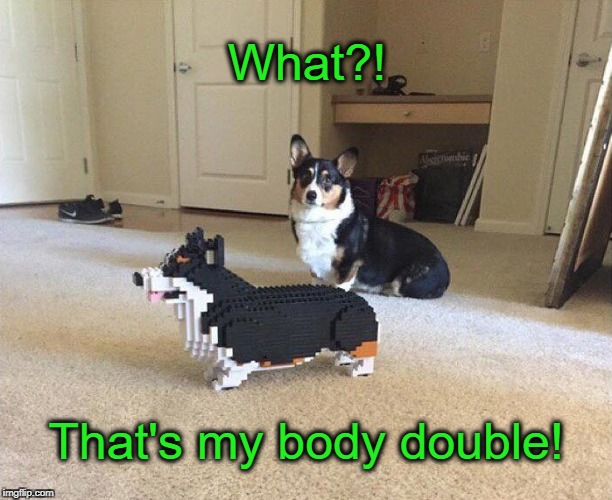 Doggy Body Double | What?! That's my body double! | image tagged in dogs,funny dogs | made w/ Imgflip meme maker