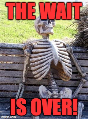 Waiting Skeleton Meme | THE WAIT IS OVER! | image tagged in memes,waiting skeleton | made w/ Imgflip meme maker