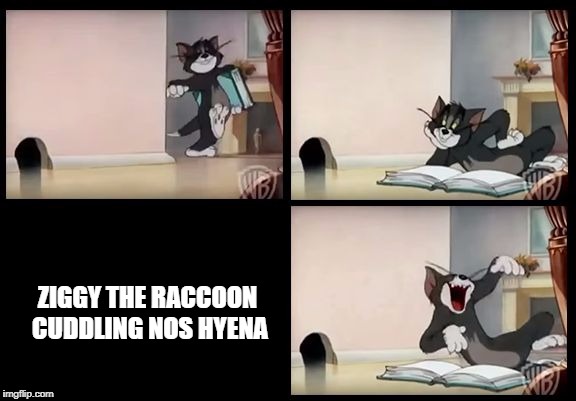 tom and jerry book | ZIGGY THE RACCOON CUDDLING NOS HYENA | image tagged in tom and jerry book | made w/ Imgflip meme maker