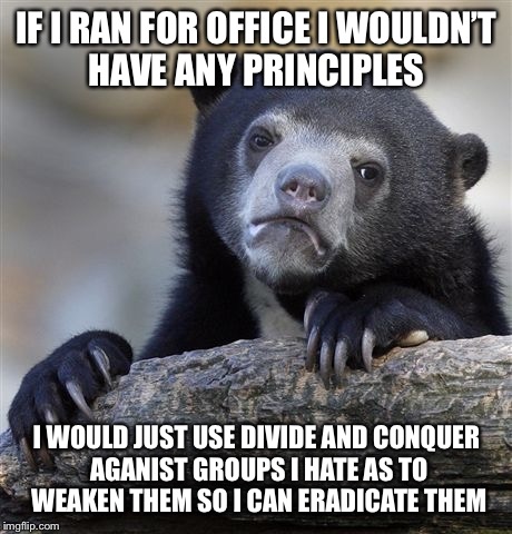 Confession Bear | IF I RAN FOR OFFICE I WOULDN’T HAVE ANY PRINCIPLES; I WOULD JUST USE DIVIDE AND CONQUER AGANIST GROUPS I HATE AS TO WEAKEN THEM SO I CAN ERADICATE THEM | image tagged in memes,confession bear | made w/ Imgflip meme maker
