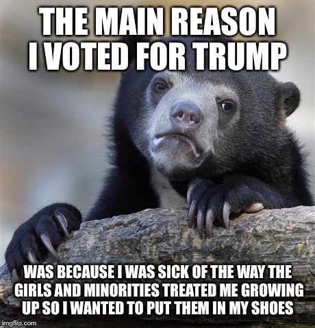 Confession Bear | THE MAIN REASON I VOTED FOR TRUMP; WAS BECAUSE I WAS SICK OF THE WAY THE GIRLS AND MINORITIES TREATED ME GROWING UP SO I WANTED TO PUT THEM IN MY SHOES | image tagged in memes,confession bear | made w/ Imgflip meme maker