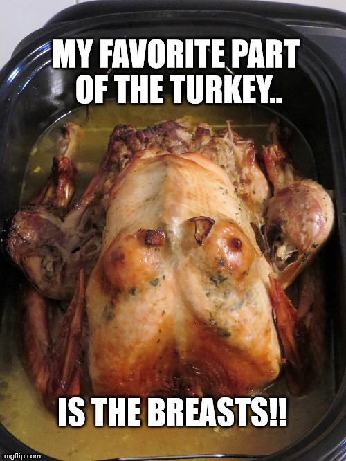 Best Part Of Turkey! | MY FAVORITE PART OF THE TURKEY.. IS THE BREASTS!! | image tagged in turkey,thanksgiving,funny,funny memes,breasts | made w/ Imgflip meme maker