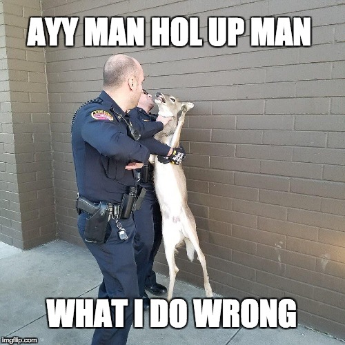 AYY MAN
HOL UP MAN; WHAT I DO WRONG | made w/ Imgflip meme maker