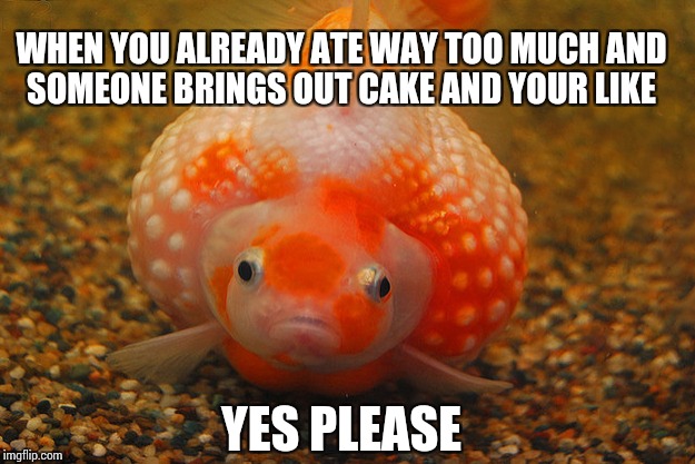 WHEN YOU ALREADY ATE WAY TOO MUCH AND SOMEONE BRINGS OUT CAKE AND YOUR LIKE; YES PLEASE | made w/ Imgflip meme maker