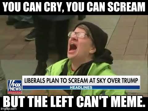 Left can't meme | YOU CAN CRY, YOU CAN SCREAM; BUT THE LEFT CAN'T MEME. | image tagged in meme,leftist,cry,scream,left can't meme,FreeKarma4U | made w/ Imgflip meme maker