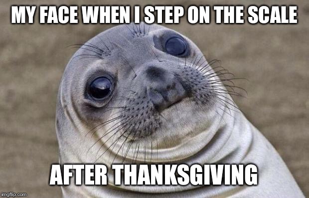 Awkward Moment Sealion Meme | MY FACE WHEN I STEP ON THE SCALE; AFTER THANKSGIVING | image tagged in memes,awkward moment sealion | made w/ Imgflip meme maker