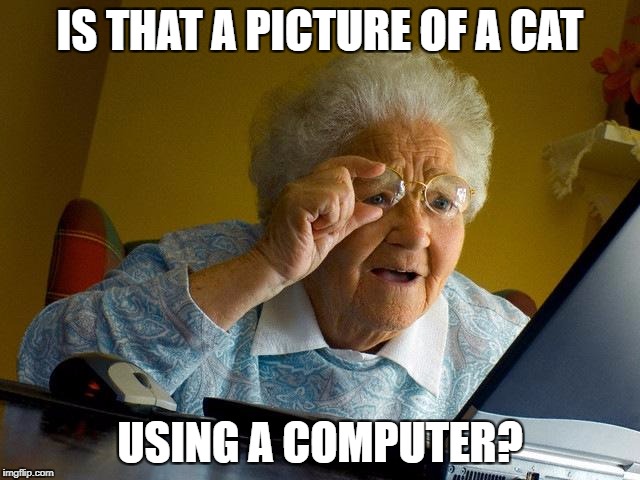 Grandma Finds The Internet Meme | IS THAT A PICTURE OF A CAT USING A COMPUTER? | image tagged in memes,grandma finds the internet | made w/ Imgflip meme maker