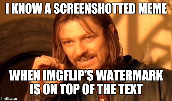 One Does Not Simply Meme | I KNOW A SCREENSHOTTED MEME WHEN IMGFLIP'S WATERMARK IS ON TOP OF THE TEXT | image tagged in memes,one does not simply | made w/ Imgflip meme maker