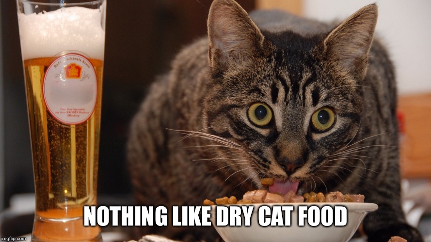 NOTHING LIKE DRY CAT FOOD | made w/ Imgflip meme maker