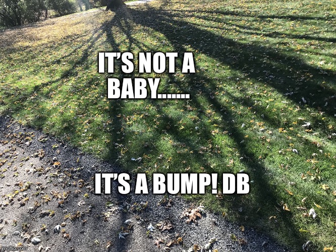 IT’S NOT A BABY....... IT’S A BUMP! DB | image tagged in baby bump natalism antinatalism | made w/ Imgflip meme maker