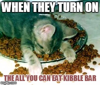 WHEN THEY TURN ON THE ALL YOU CAN EAT KIBBLE BAR | made w/ Imgflip meme maker