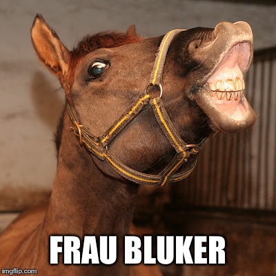 FRAU BLUKER | made w/ Imgflip meme maker