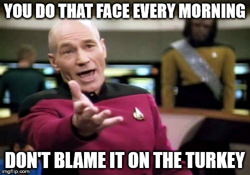 Picard Wtf Meme | YOU DO THAT FACE EVERY MORNING DON'T BLAME IT ON THE TURKEY | image tagged in memes,picard wtf | made w/ Imgflip meme maker