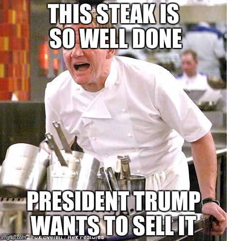 Chef Gordon Ramsay Meme | THIS STEAK IS SO WELL DONE; PRESIDENT TRUMP WANTS TO SELL IT | image tagged in memes,chef gordon ramsay | made w/ Imgflip meme maker