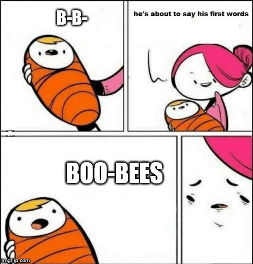 baby first words | B-B-; BOO-BEES | image tagged in baby first words | made w/ Imgflip meme maker