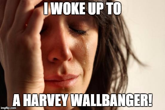 First World Problems Meme | I WOKE UP TO A HARVEY WALLBANGER! | image tagged in memes,first world problems | made w/ Imgflip meme maker