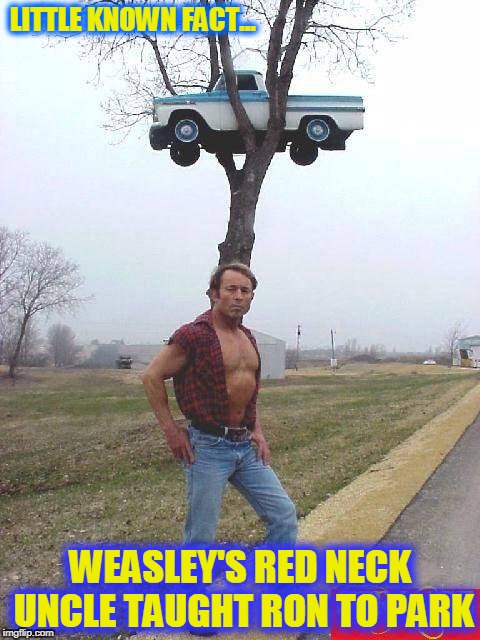 Harry Potter trivia... Redneck style | LITTLE KNOWN FACT... WEASLEY'S RED NECK UNCLE TAUGHT RON TO PARK | image tagged in harry potter,ron weasley,red neck,flying car | made w/ Imgflip meme maker