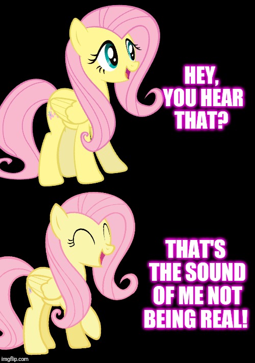 Silence.  | HEY, YOU HEAR THAT? THAT'S THE SOUND OF ME NOT BEING REAL! | image tagged in my little pony,fluttershy,silence,waifu,depression | made w/ Imgflip meme maker