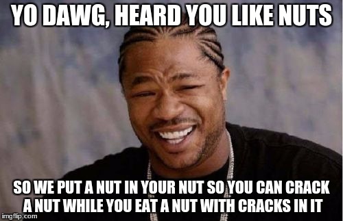 Yo Dawg Heard You | YO DAWG, HEARD YOU LIKE NUTS; SO WE PUT A NUT IN YOUR NUT SO YOU CAN CRACK A NUT WHILE YOU EAT A NUT WITH CRACKS IN IT | image tagged in memes,yo dawg heard you | made w/ Imgflip meme maker