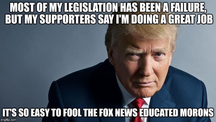 Poorly Educated | MOST OF MY LEGISLATION HAS BEEN A FAILURE, BUT MY SUPPORTERS SAY I'M DOING A GREAT JOB; IT'S SO EASY TO FOOL THE FOX NEWS EDUCATED MORONS | image tagged in trump,nazi,fascist,poorly educated,fear,greed | made w/ Imgflip meme maker