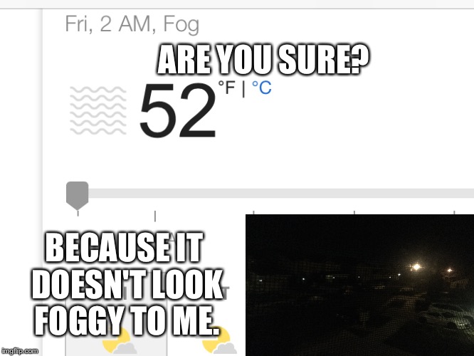 ARE YOU SURE? BECAUSE IT DOESN'T LOOK FOGGY TO ME. | image tagged in are you sure | made w/ Imgflip meme maker