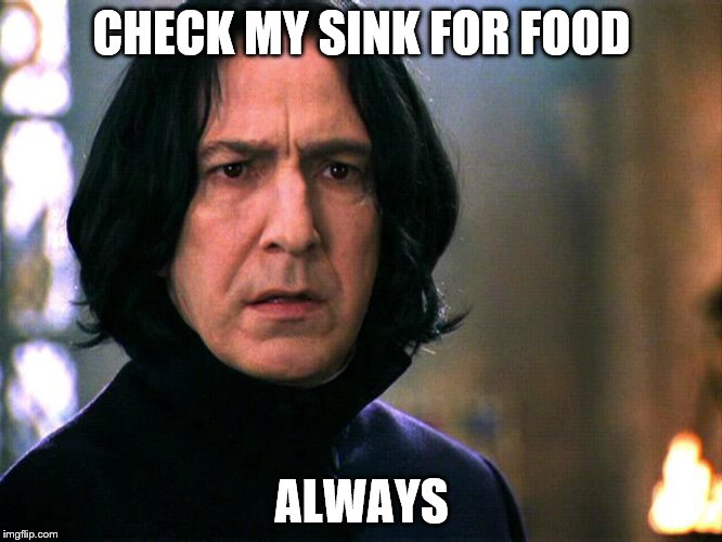 Snape Always..... | CHECK MY SINK FOR FOOD; ALWAYS | image tagged in snape always | made w/ Imgflip meme maker