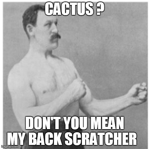 Overly Manly Man