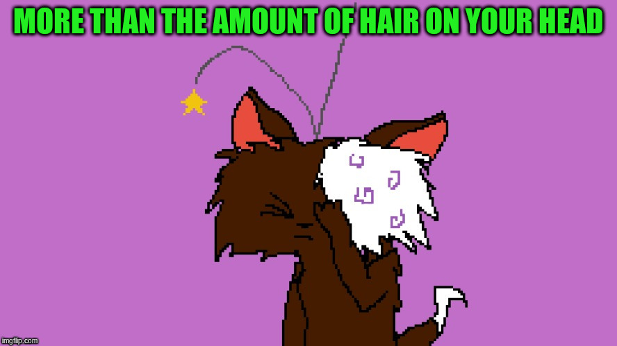 MORE THAN THE AMOUNT OF HAIR ON YOUR HEAD | made w/ Imgflip meme maker