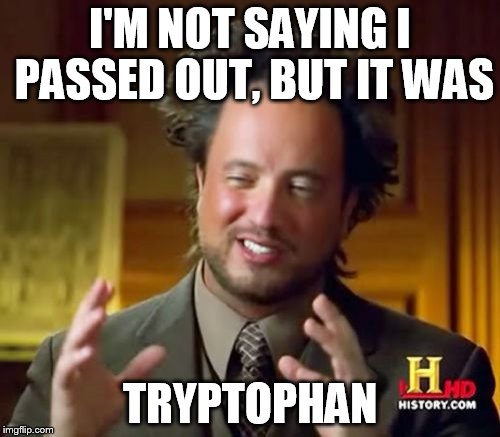 Ancient Aliens Meme | I'M NOT SAYING I PASSED OUT, BUT IT WAS; TRYPTOPHAN | image tagged in memes,ancient aliens | made w/ Imgflip meme maker