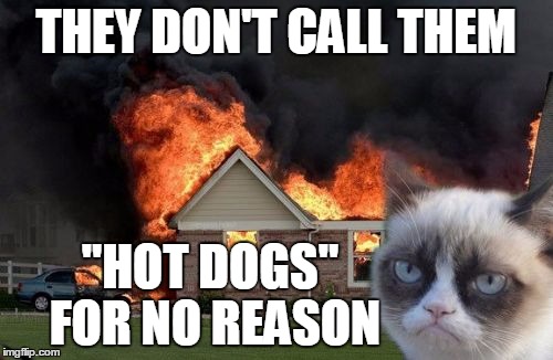THEY DON'T CALL THEM "HOT DOGS" FOR NO REASON | made w/ Imgflip meme maker