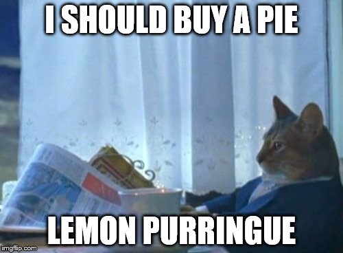 I Should Buy A Boat Cat | I SHOULD BUY A PIE; LEMON PURRINGUE | image tagged in memes,i should buy a boat cat,pie,american pie,lemon | made w/ Imgflip meme maker