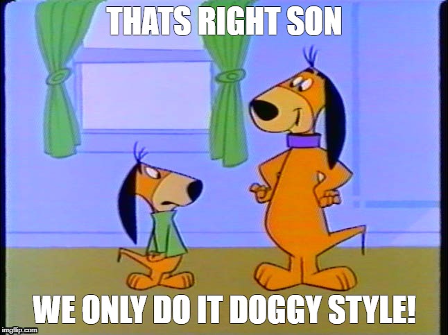 THATS RIGHT SON; WE ONLY DO IT DOGGY STYLE! | image tagged in doggy style,huckleberry hound | made w/ Imgflip meme maker