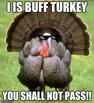Buff Turkey | I IS BUFF TURKEY; YOU SHALL NOT PASS!! | image tagged in memes,turkey | made w/ Imgflip meme maker