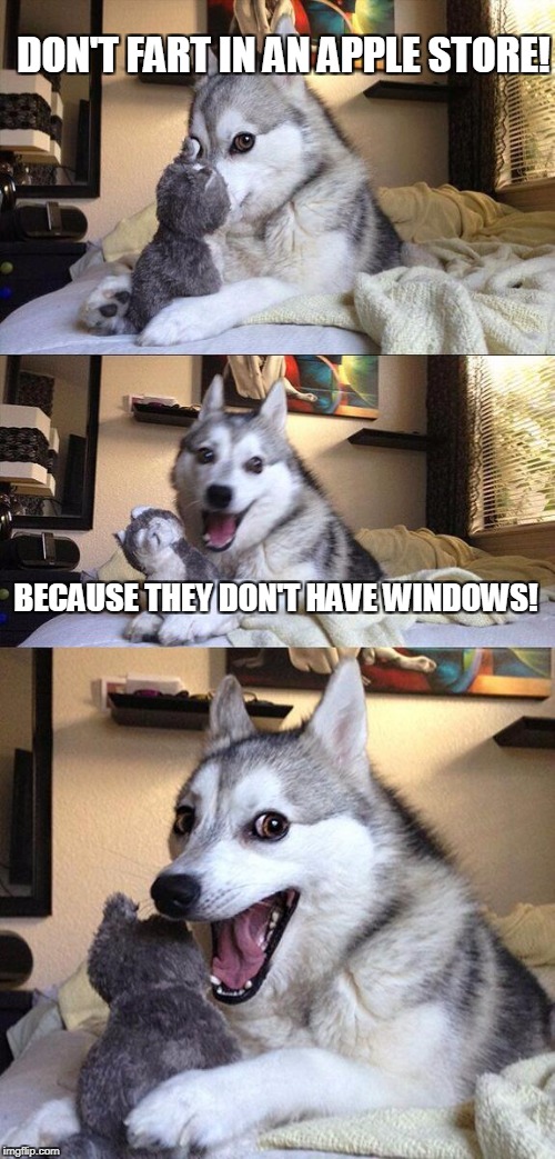 Bad Pun Dog Meme | DON'T FART IN AN APPLE STORE! BECAUSE THEY DON'T HAVE WINDOWS! | image tagged in memes,bad pun dog | made w/ Imgflip meme maker