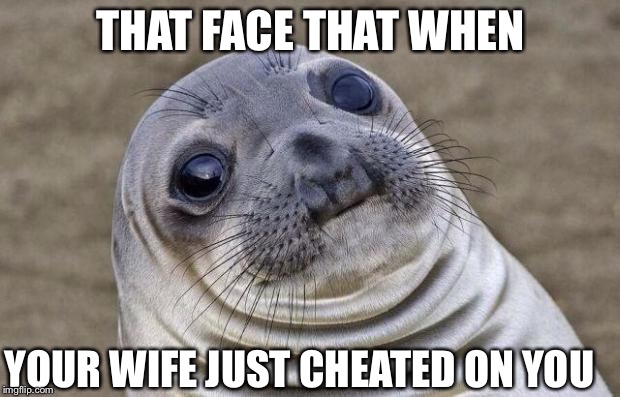 Awkward Moment Sealion Meme | THAT FACE THAT WHEN; YOUR WIFE JUST CHEATED ON YOU | image tagged in memes,awkward moment sealion | made w/ Imgflip meme maker