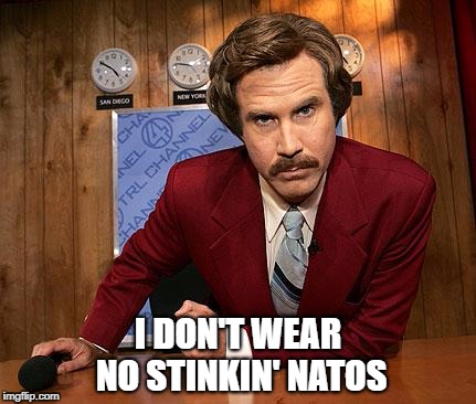 Ron Burgandy | I DON'T WEAR NO STINKIN' NATOS | image tagged in ron burgandy | made w/ Imgflip meme maker