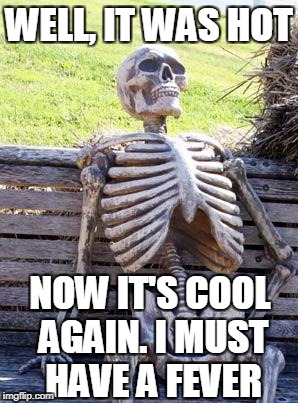 Waiting Skeleton Meme | WELL, IT WAS HOT NOW IT'S COOL AGAIN. I MUST HAVE A FEVER | image tagged in memes,waiting skeleton | made w/ Imgflip meme maker