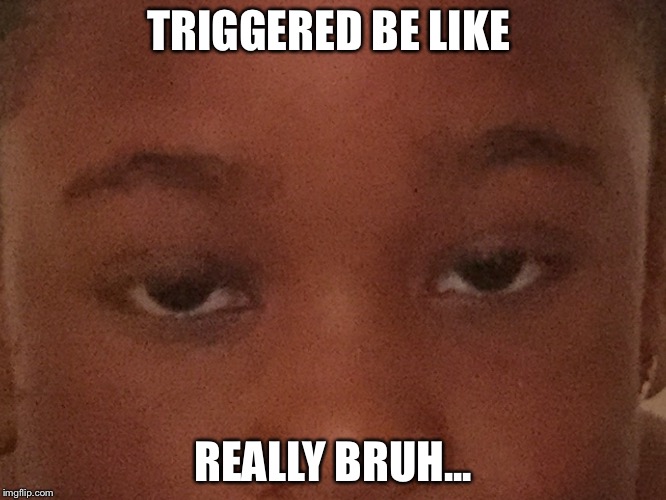 TRIGGERED BE LIKE; REALLY BRUH... | image tagged in bruh | made w/ Imgflip meme maker