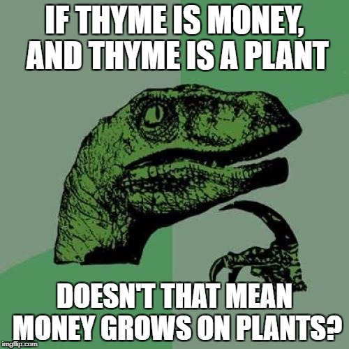 Philosoraptor | IF THYME IS MONEY, AND THYME IS A PLANT; DOESN'T THAT MEAN MONEY GROWS ON PLANTS? | image tagged in memes,philosoraptor | made w/ Imgflip meme maker