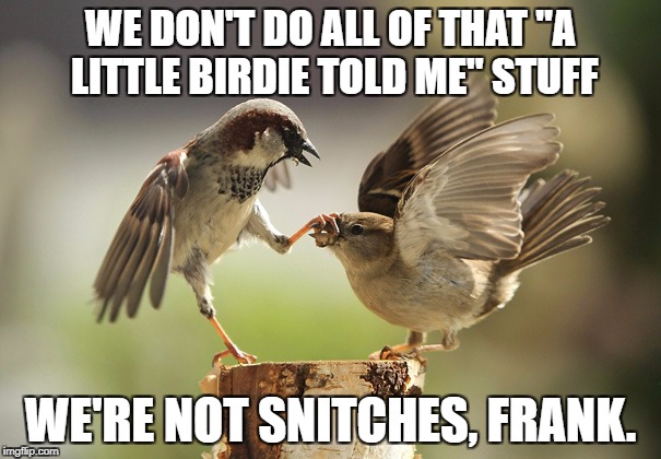 We Don't Sing Like Canaries!  | WE DON'T DO ALL OF THAT "A LITTLE BIRDIE TOLD ME" STUFF; WE'RE NOT SNITCHES, FRANK. | image tagged in birdie,snitch | made w/ Imgflip meme maker