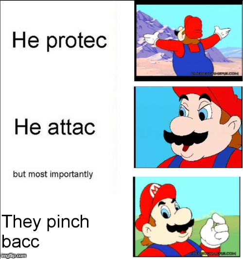 image tagged in hotel mario,he protec,he attac,but most importantly,homemade | made w/ Imgflip meme maker