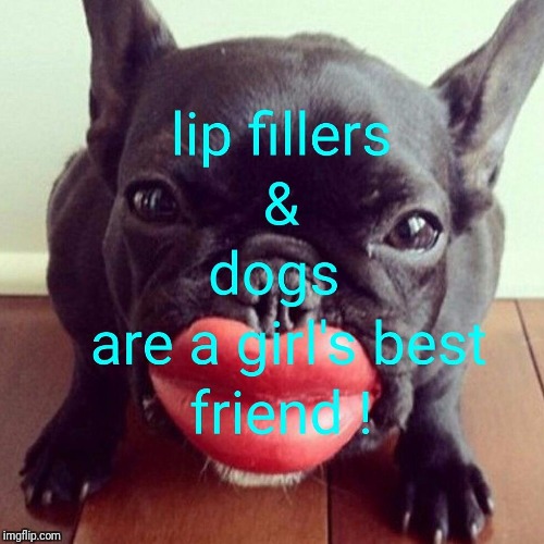 image tagged in lip filler love | made w/ Imgflip meme maker