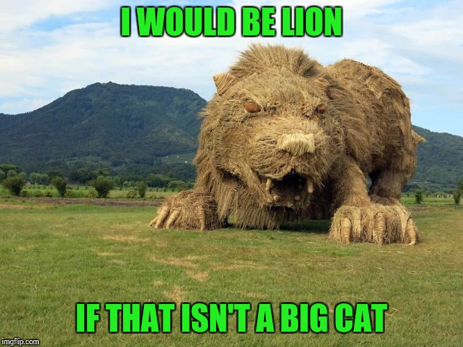 I WOULD BE LION IF THAT ISN'T A BIG CAT | made w/ Imgflip meme maker
