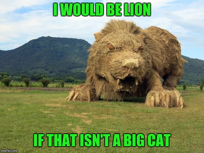 I WOULD BE LION IF THAT ISN'T A BIG CAT | made w/ Imgflip meme maker